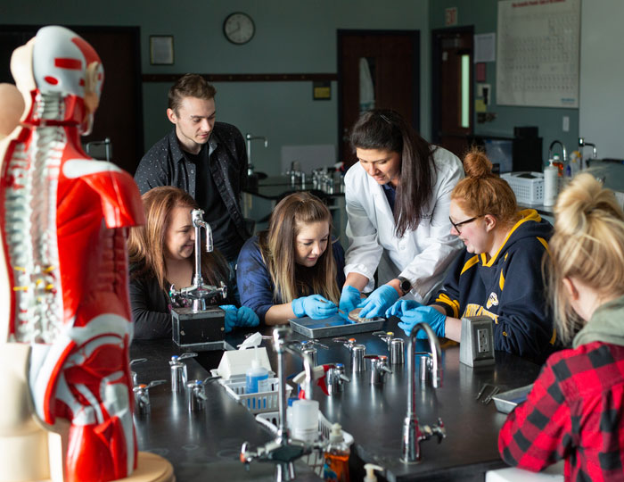 Instructor guiding students through an anatomy lab activity with models.