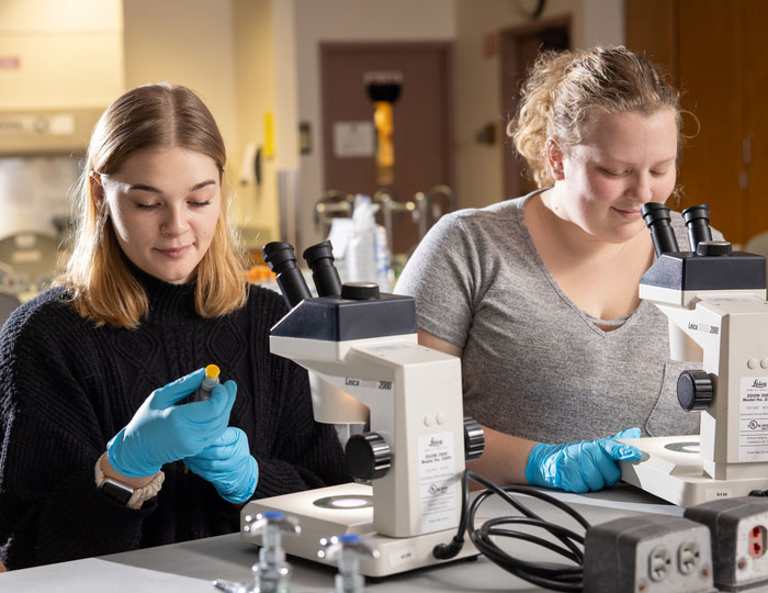 Two students wearing blue gloves working with microscopes and lab tools.