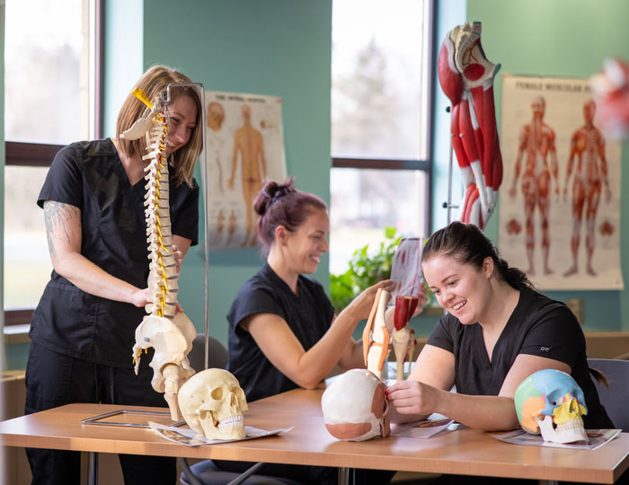 Students studying anatomy models in a health sciences classroom.