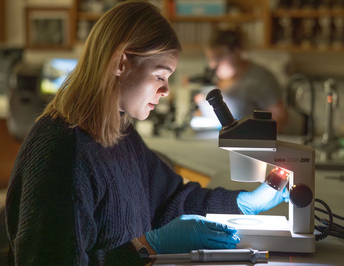 Person uses a microscope to analyze a sample in a campus science laboratory
